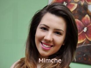 Mimche