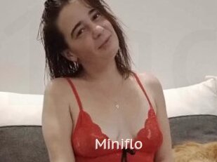 Miniflo