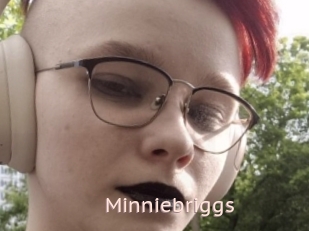 Minniebriggs
