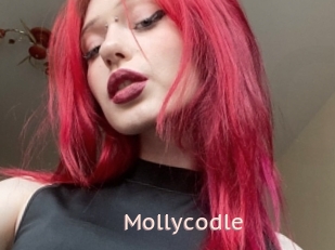 Mollycodle