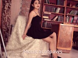 Monicacatpaws