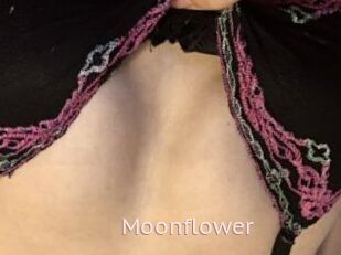 Moonflower