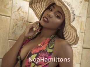 NoaHamiltons