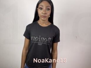 NoaKane18