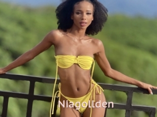 Niagollden