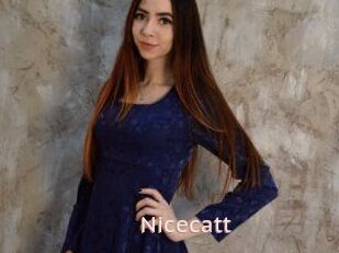 Nicecatt
