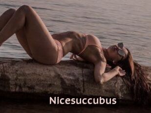 Nicesuccubus