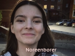 Noreenborer
