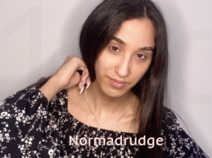 Normadrudge