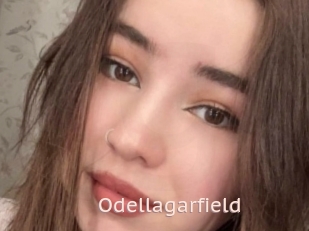 Odellagarfield