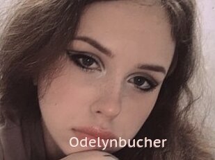 Odelynbucher