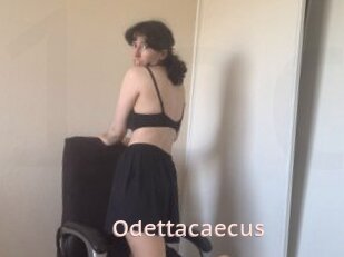 Odettacaecus