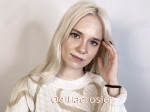Odiliacrosier