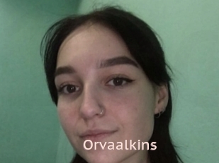Orvaalkins
