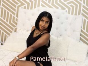 PamelaTuner