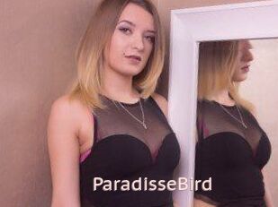 ParadisseBird