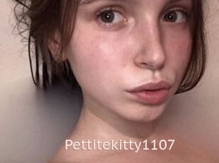 Pettitekitty1107