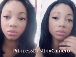 PrincessDestinyCamero