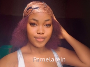 Pamelarein