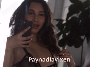 Paynadiavixen