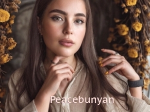 Peacebunyan