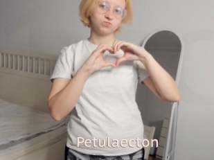 Petulaecton