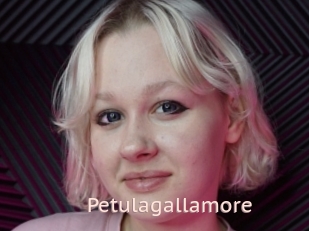 Petulagallamore