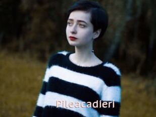 Pileacadieri