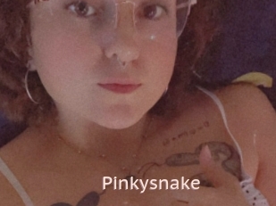 Pinkysnake