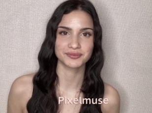 Pixelmuse