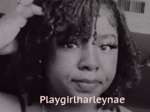 Playgirlharleynae