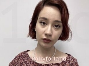 Pollyforland