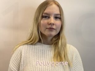 Pollygorse