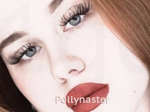 Pollynaster