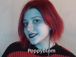 Poppyblom