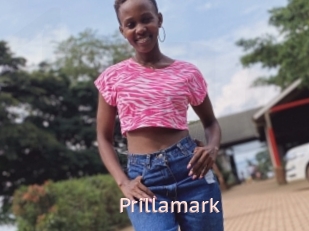 Prillamark