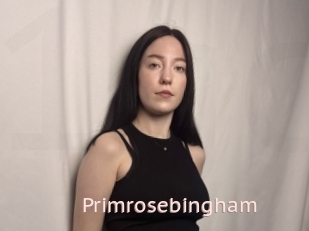 Primrosebingham