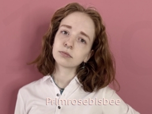 Primrosebisbee
