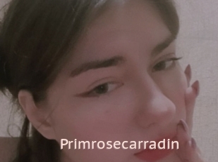 Primrosecarradin
