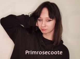Primrosecoote