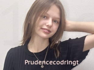 Prudencecodringt
