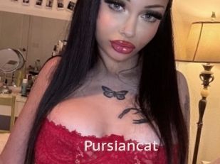 Pursiancat