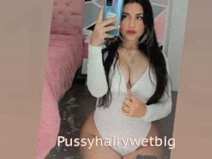 Pussyhairywetbig
