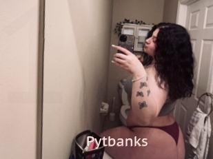 Pytbanks