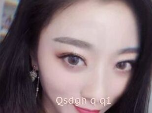 Qsdgh_q_q1