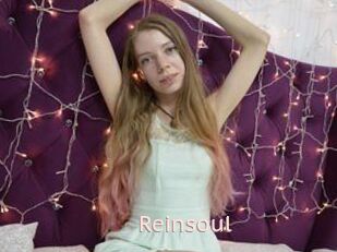 Reinsoul