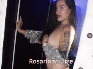 Rosarioaguirre
