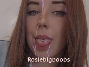 Rosiebigboobs