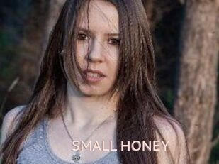 SMALL_HONEY