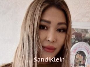 SandiKlein